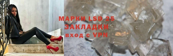 твердый Богданович