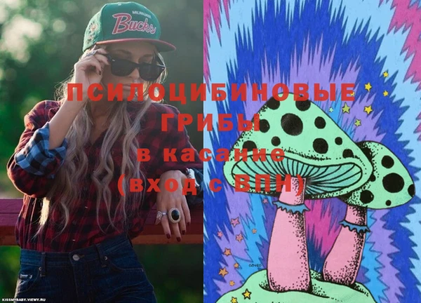 ПСИЛОЦИБИНОВЫЕ ГРИБЫ Бородино
