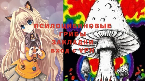 твердый Богданович