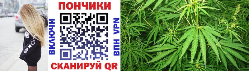 omg tor  Крым  Шишки марихуана OG Kush 